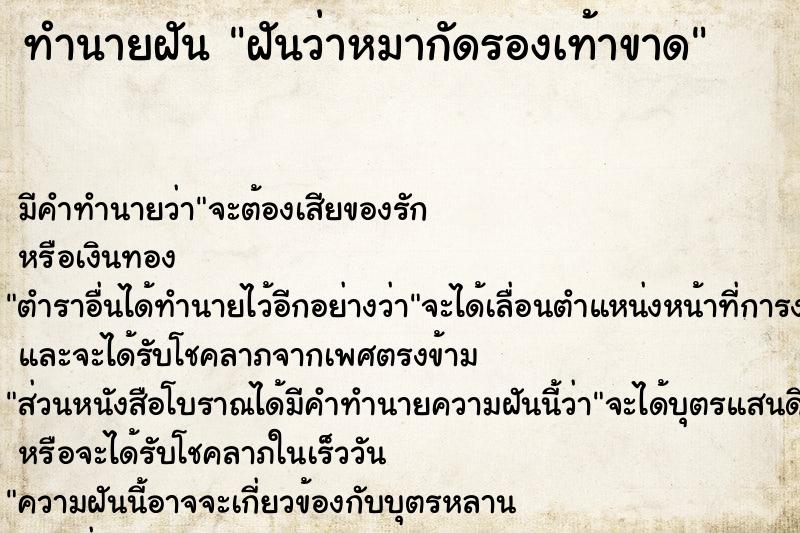 ทำนายฝัน ฝันว่าหมากัดรองเท้าขาด  เลขนำโชค 