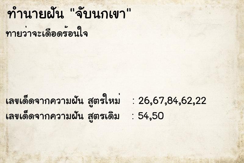 ทำนายฝัน จับนกเขา  เลขนำโชค 