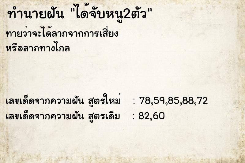 ทำนายฝัน ได้จับหนู2ตัว