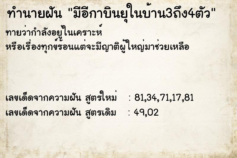 ทำนายฝัน มีอีกาบินยุในบ้าน3ถึง4ตัว