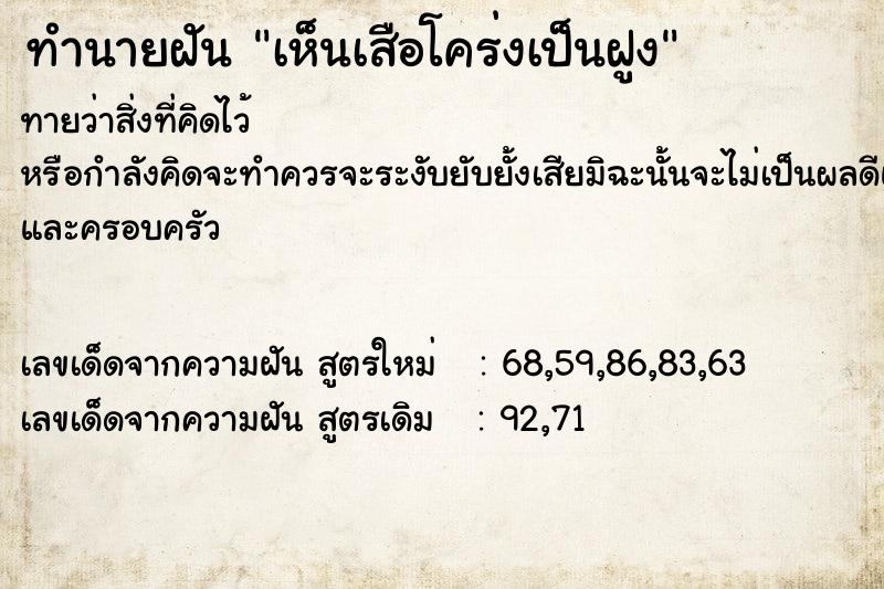 ทำนายฝัน เห็นเสือโคร่งเป็นฝูง  เลขนำโชค 