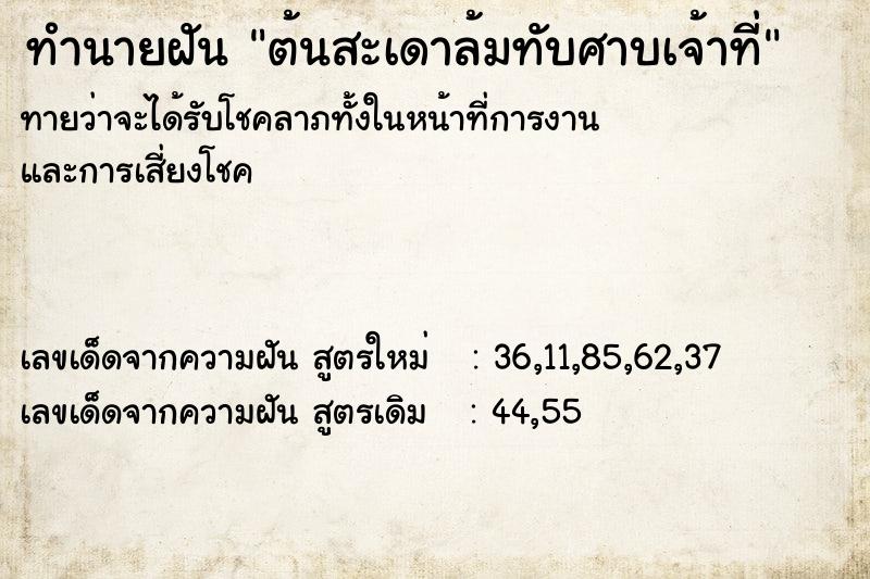 ทำนายฝัน ต้นสะเดาล้มทับศาบเจ้าที่