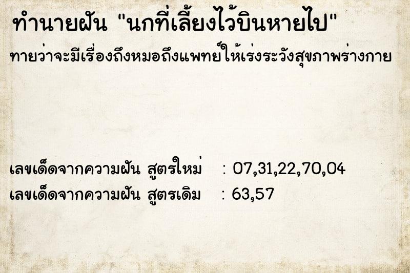 ทำนายฝัน นกที่เลี้ยงไว้บินหายไป