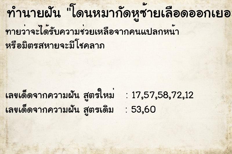 ทำนายฝัน โดนหมากัดหูซ้ายเลือดออกเยอะ::โดนหมากัดหูซ้าย