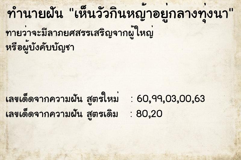 ทำนายฝัน เห็นวัวกินหญ้าอยู่กลางทุ่งนา