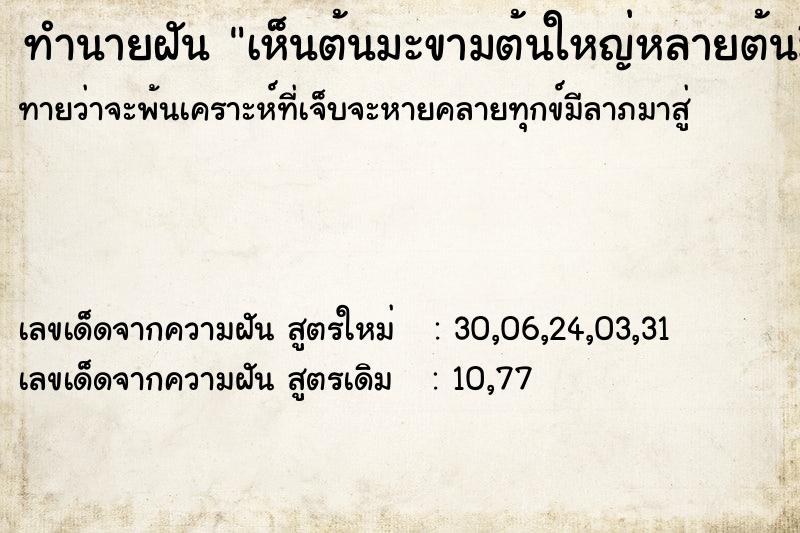 ทำนายฝัน เห็นต้นมะขามต้นใหญ่หลายต้นมีฝักมะขามเติมไปหมด