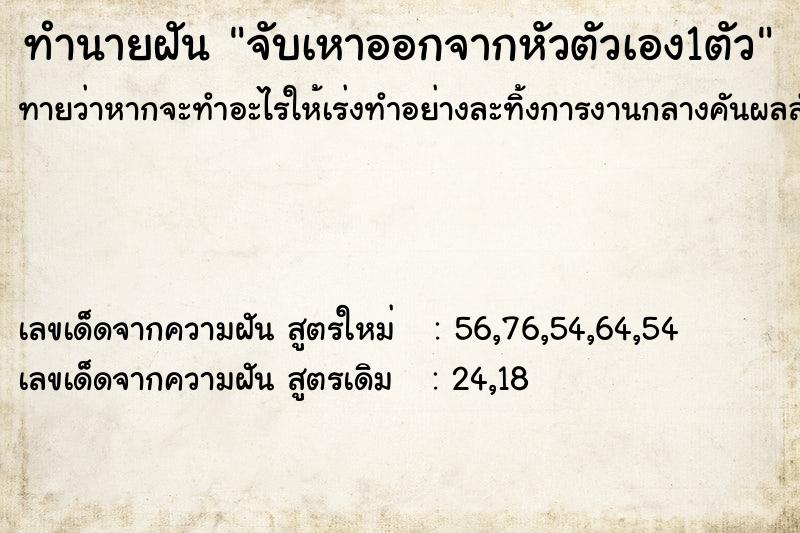 ทำนายฝัน จับเหาออกจากหัวตัวเอง1ตัว  เลขนำโชค 