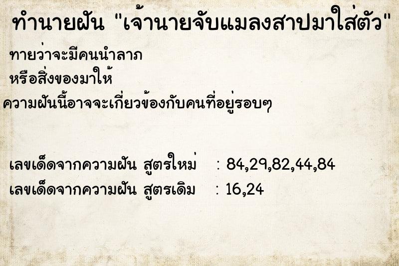 ทำนายฝัน เจ้านายจับแมลงสาปมาใส่ตัว