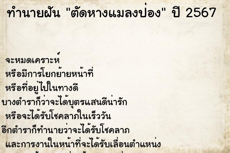 ทำนายฝัน ตัดหางแมลงป่อง