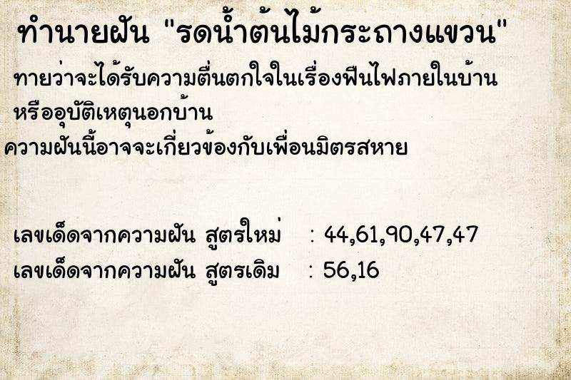 ทำนายฝัน รดน้ำต้นไม้กระถางแขวน