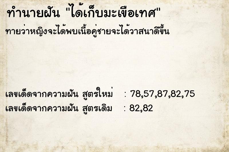 ทำนายฝัน ได้เก็บมะเขือเทศ