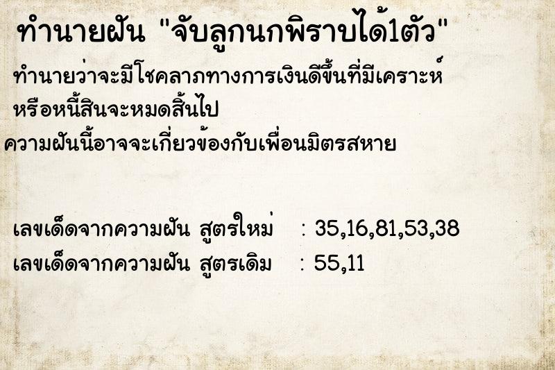 ทำนายฝัน จับลูกนกพิราบได้1ตัว