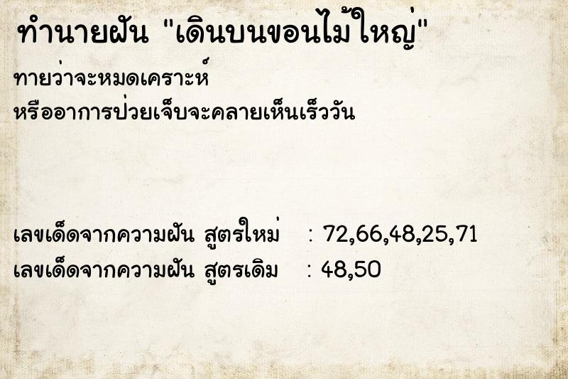 ทำนายฝัน เดินบนขอนไม้ใหญ่