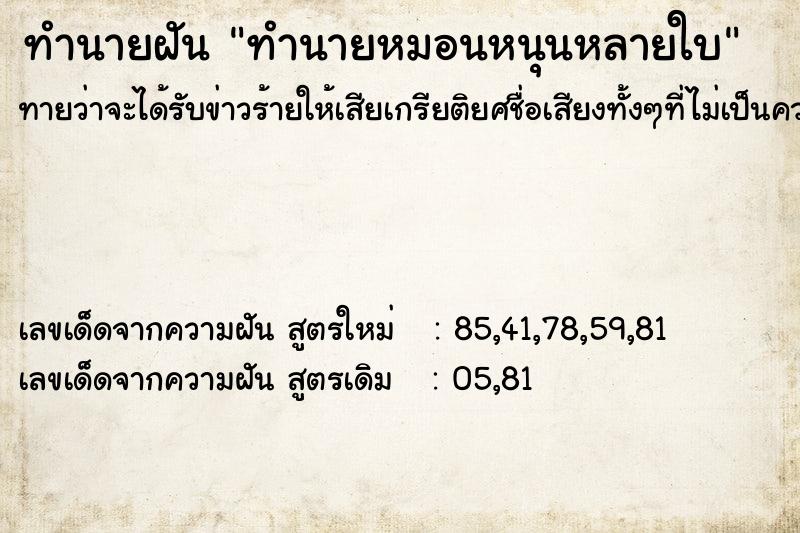 ทำนายฝัน ทำนายหมอนหนุนหลายใบ