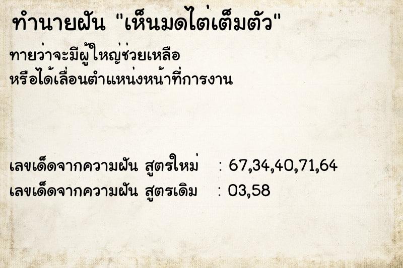 ทำนายฝัน เห็นมดไต่เต็มตัว