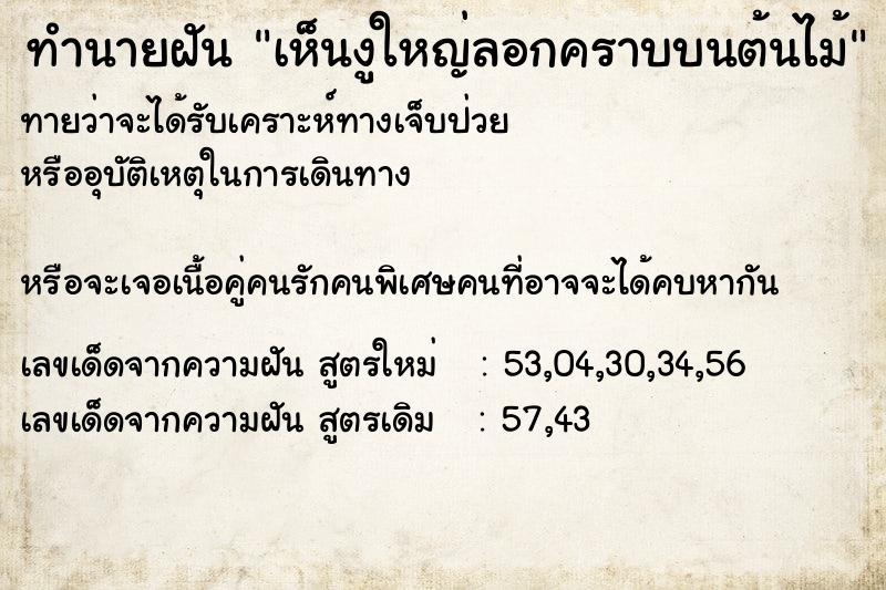 ทำนายฝัน เห็นงูใหญ่ลอกคราบบนต้นไม้