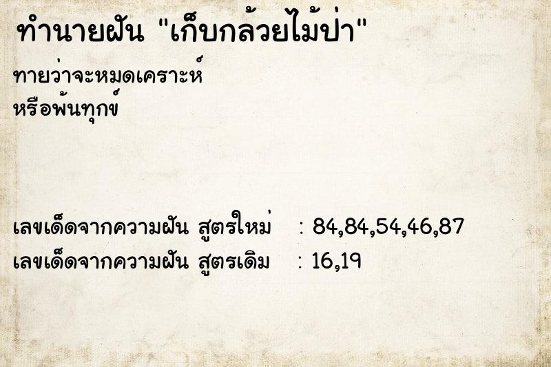 ทำนายฝัน เก็บกล้วยไม้ป่า