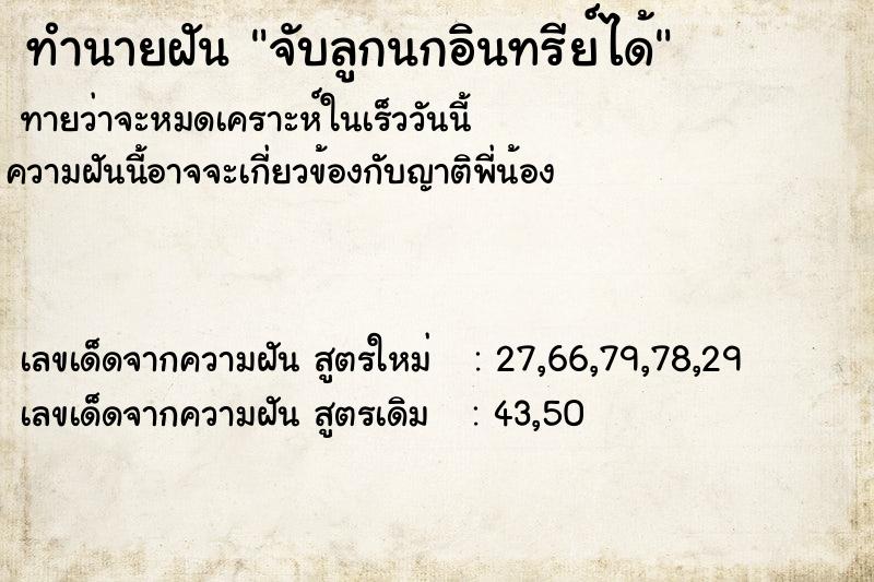 ทำนายฝัน จับลูกนกอินทรีย์ได้