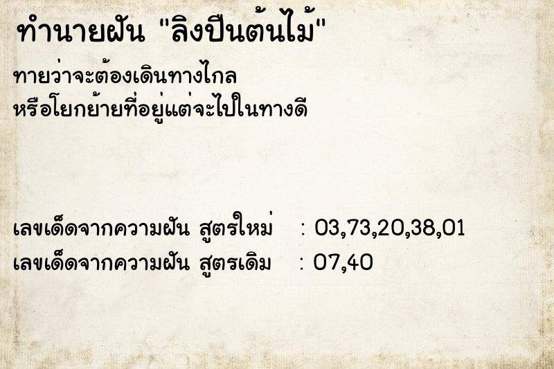 ทำนายฝัน ลิงปืนต้นไม้