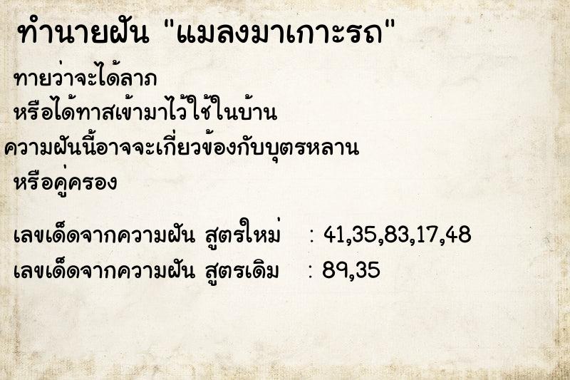 ทำนายฝัน แมลงมาเกาะรถ