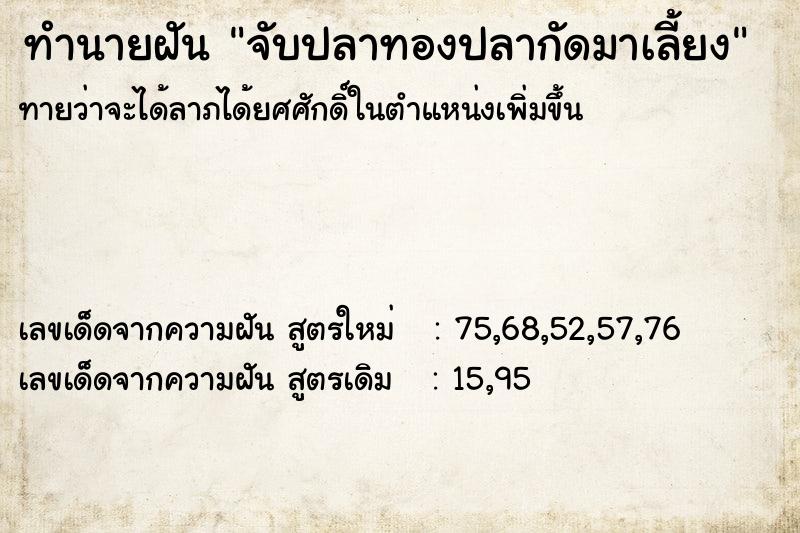 ทำนายฝัน จับปลาทองปลากัดมาเลี้ยง