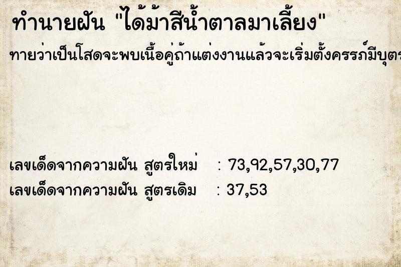 ทำนายฝัน ได้ม้าสีน้ำตาลมาเลี้ยง