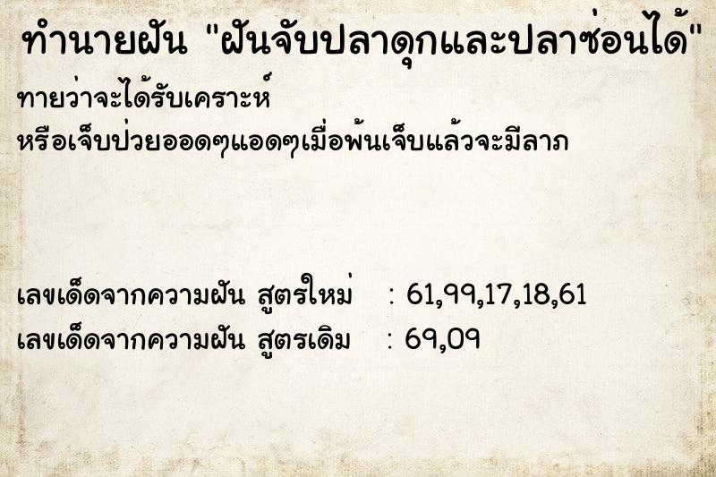 ทำนายฝัน ฝันจับปลาดุกและปลาซ่อนได้