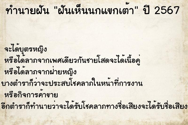 ทำนายฝัน ฝันเห็นนกแขกเต้า