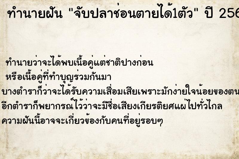 ทำนายฝัน จับปลาช่อนตายได้1ตัว