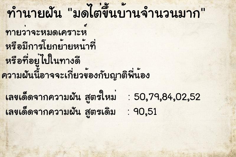 ทำนายฝัน มดไต่ขึ้นบ้านจำนวนมาก