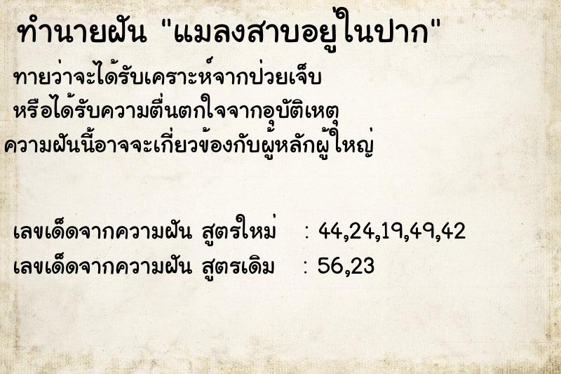 ทำนายฝัน แมลงสาบอยู่ในปาก