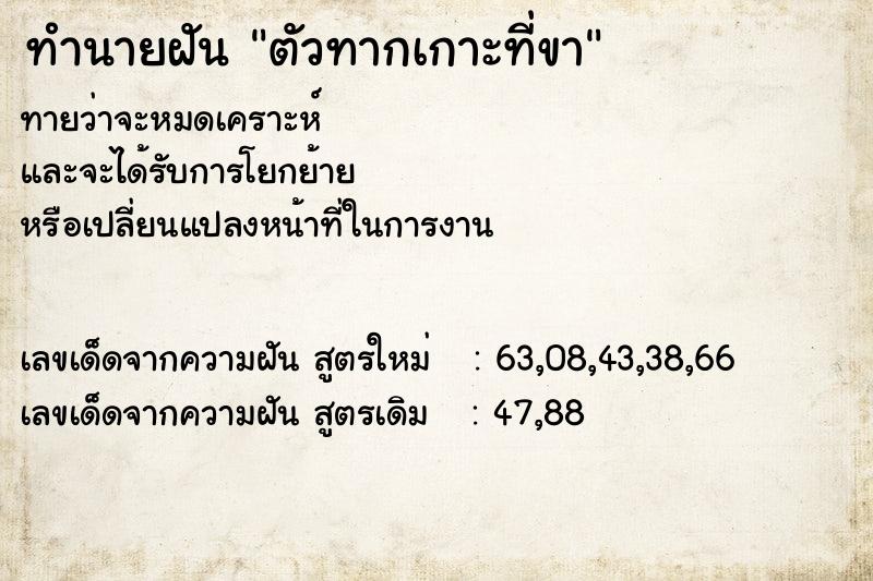 ทำนายฝัน ตัวทากเกาะที่ขา