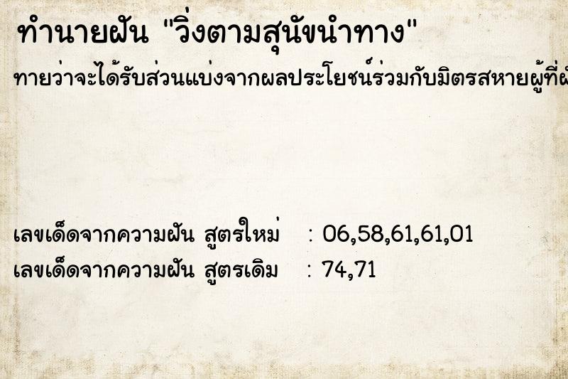 ทำนายฝัน วิ่งตามสุนัขนำทาง