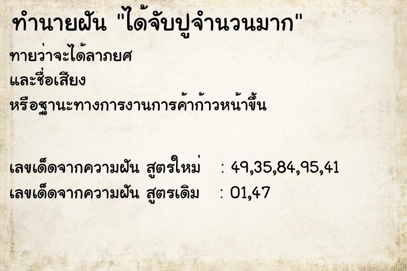 ทำนายฝัน ได้จับปูจำนวนมาก