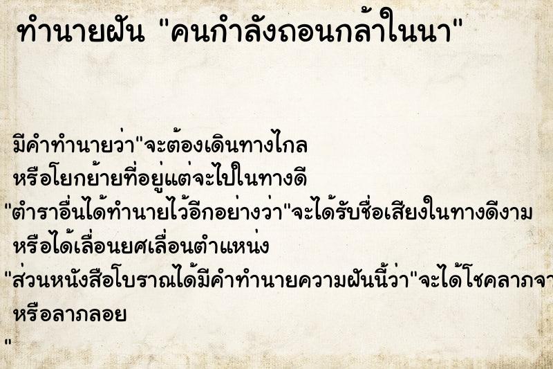 ทำนายฝัน คนกำลังถอนกล้าในนา