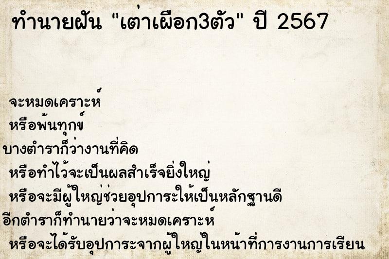 ทำนายฝัน เต่าเผือก3ตัว