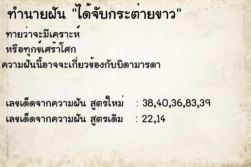 ทำนายฝัน ได้จับกระต่ายขาว