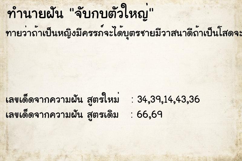 ทำนายฝัน จับกบตัวใหญ่  เลขนำโชค 