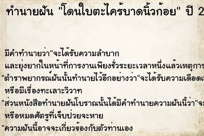 ทำนายฝัน โดนใบตะไคร้บาดนิ้วก้อย