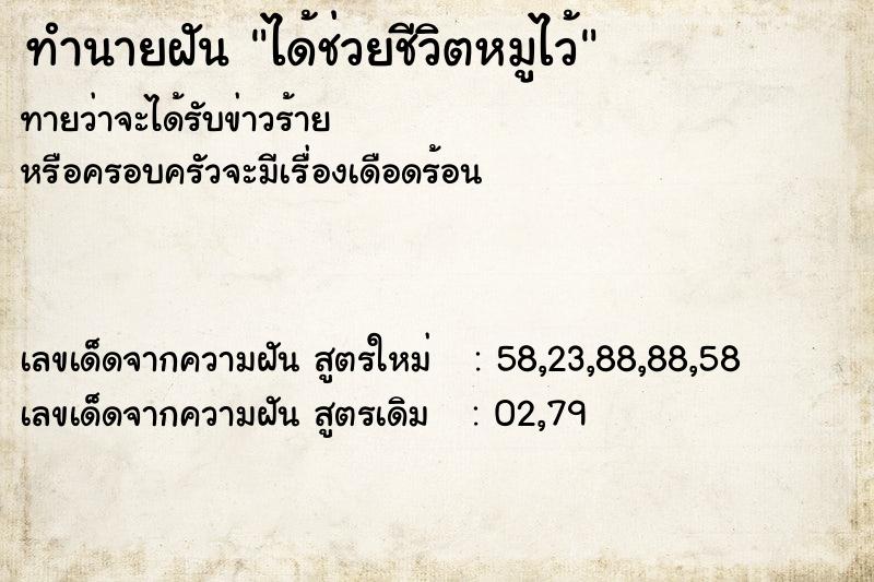 ทำนายฝัน ได้ช่วยชีวิตหมูไว้