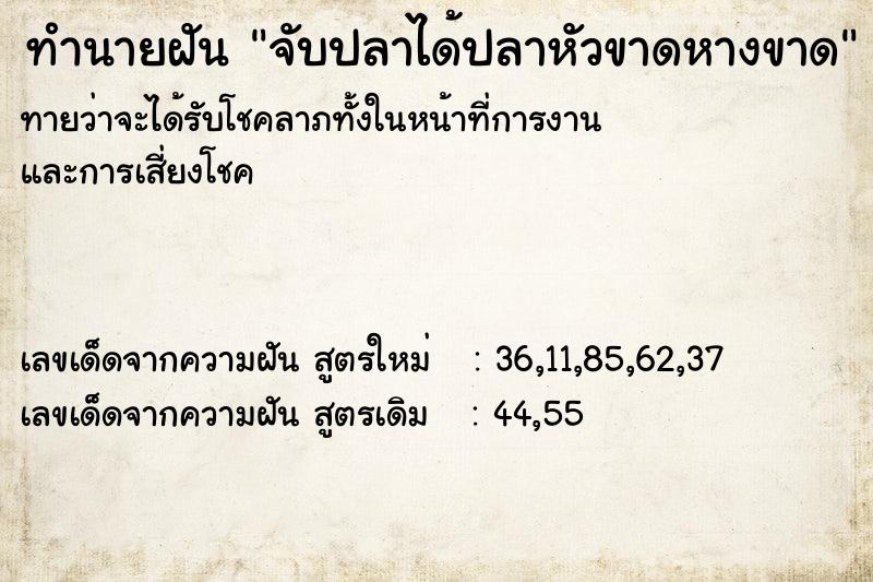 ทำนายฝัน จับปลาได้ปลาหัวขาดหางขาด