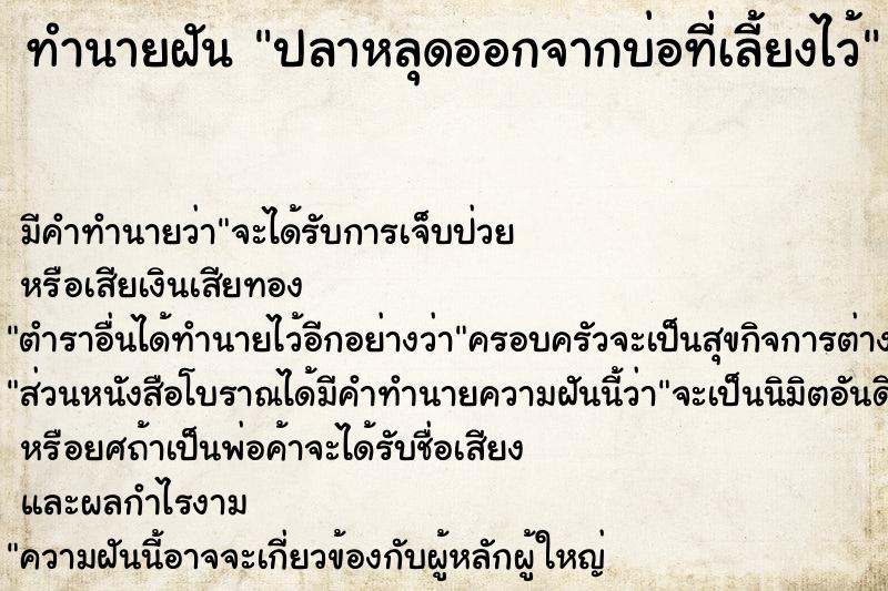 ทำนายฝัน ปลาหลุดออกจากบ่อที่เลี้ยงไว้