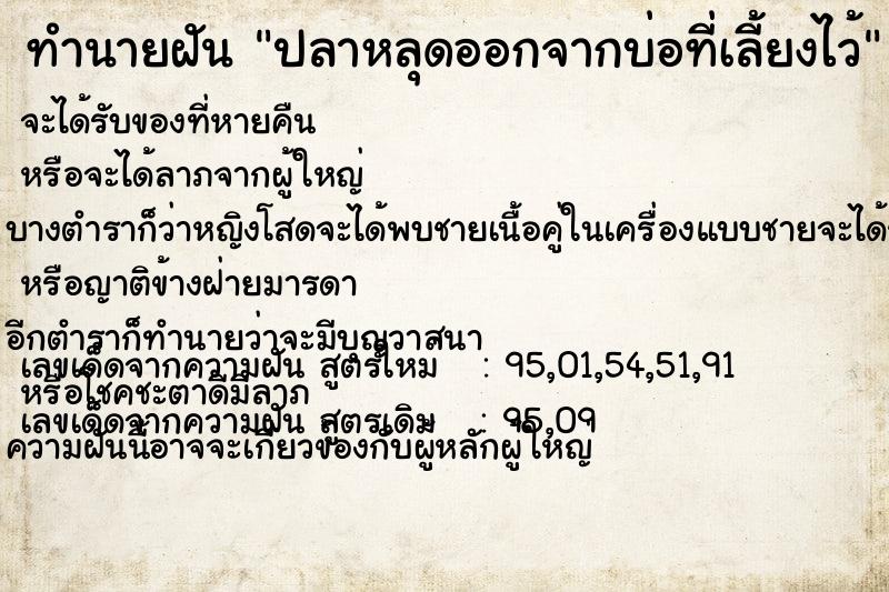 ทำนายฝัน ปลาหลุดออกจากบ่อที่เลี้ยงไว้  เลขนำโชค 