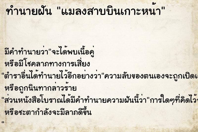 ทำนายฝัน แมลงสาบบินเกาะหน้า