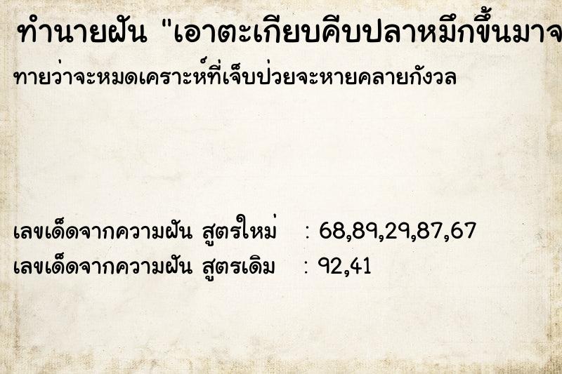 ทำนายฝัน เอาตะเกียบคีบปลาหมึกขึ้นมาจากน้ำ