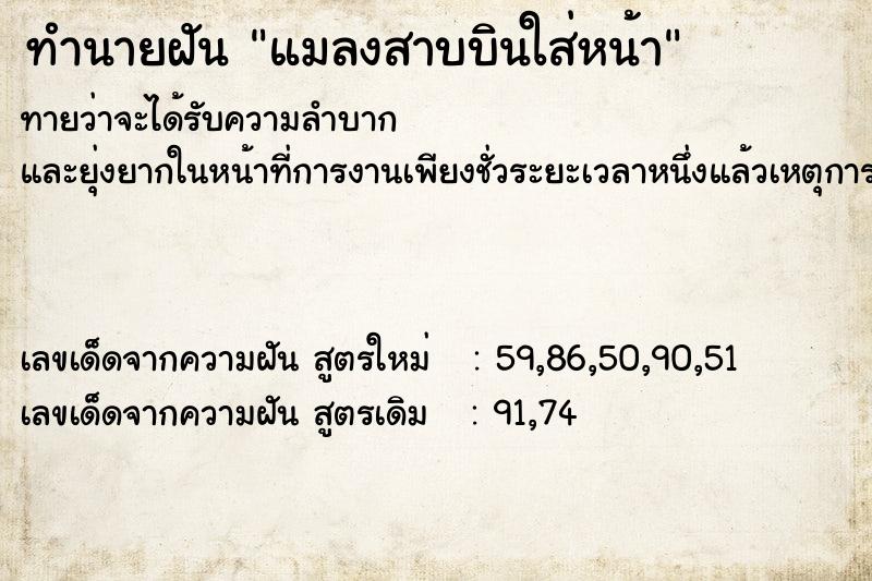 ทำนายฝัน แมลงสาบบินใส่หน้า