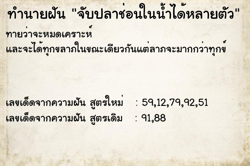 ทำนายฝัน จับปลาช่อนในน้ำได้หลายตัว