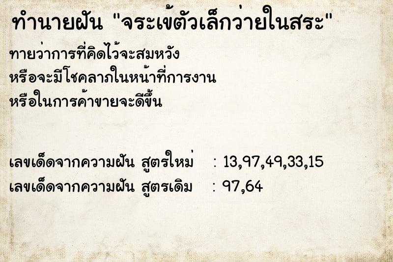 ทำนายฝัน จระเข้ตัวเล็กว่ายในสระ