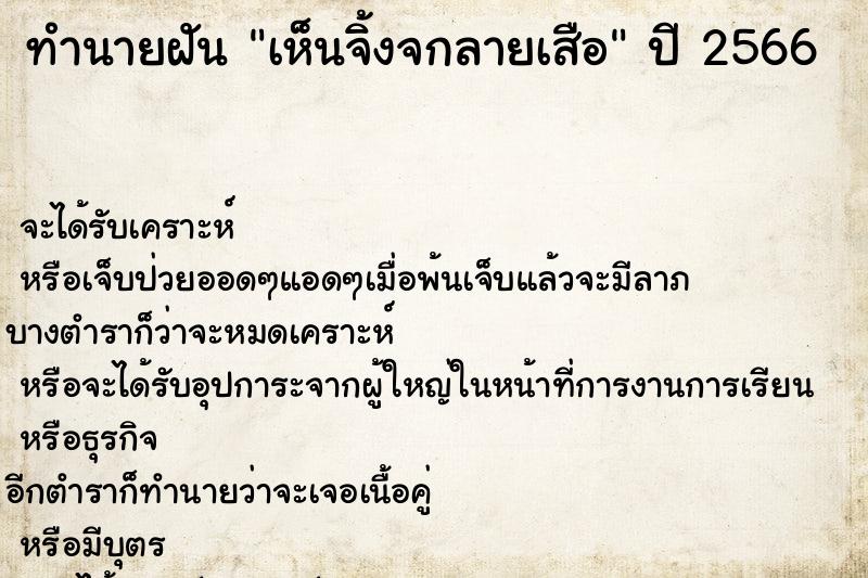 ทำนายฝัน เห็นจิ้งจกลายเสือ  เลขนำโชค 