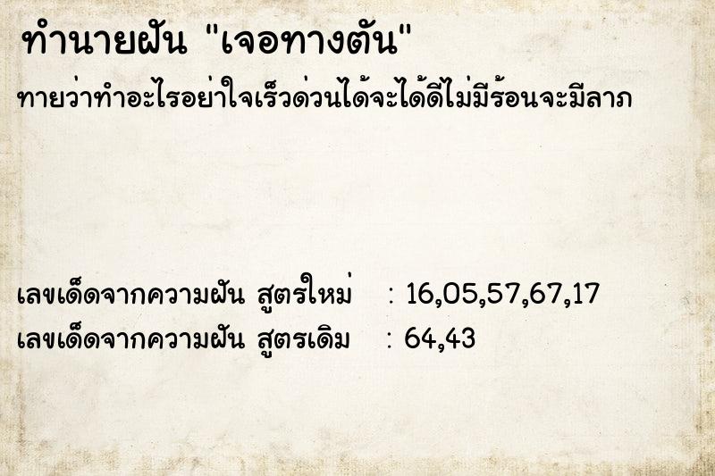 ทำนายฝัน เจอทางตัน